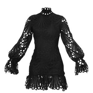 Black High Neck Lace Long Sleeve Frill Bodycon Dress